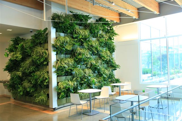 Downtown Market Expands Green Space With Indoor Living Wall