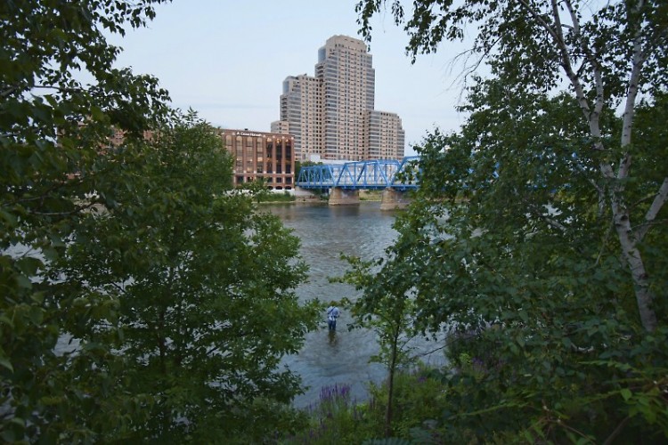 The Blue Bridge, the Grand River, and the buildings of downtown Grand Rapids peeking out from behind the trees