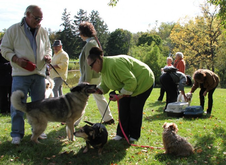 <center><strong>Blessing of the Animals at Dominican Center</strong></center>