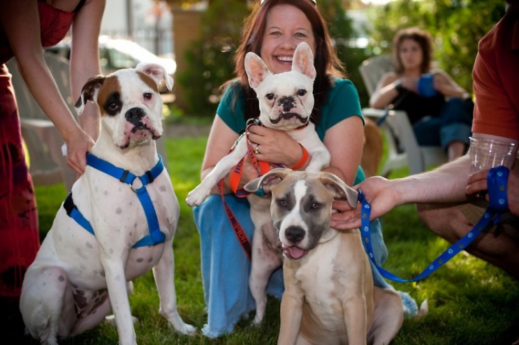 Dogs of all shapes and sizes can be found at the annual BISSELL Blocktail Party.