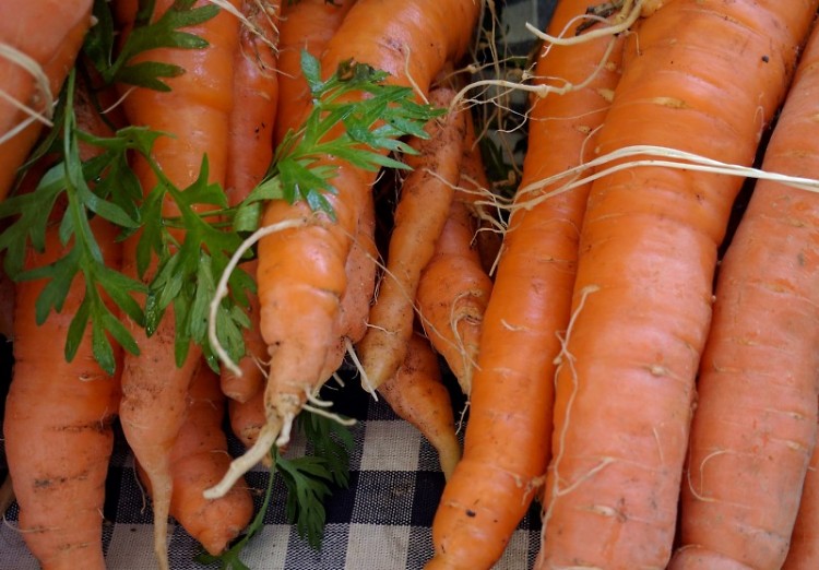 Michigan Carrots