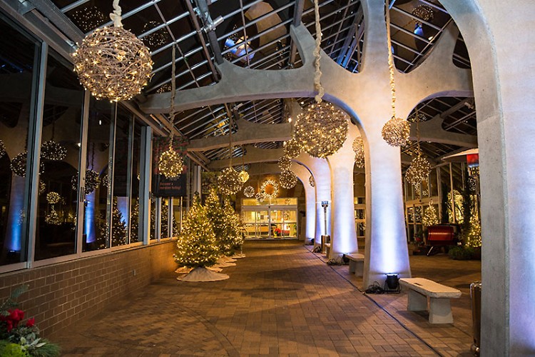 Christmas and Holiday Traditions Around the World at Meijer Gardens