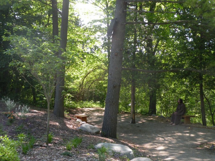 One of the walking paths at Marywood