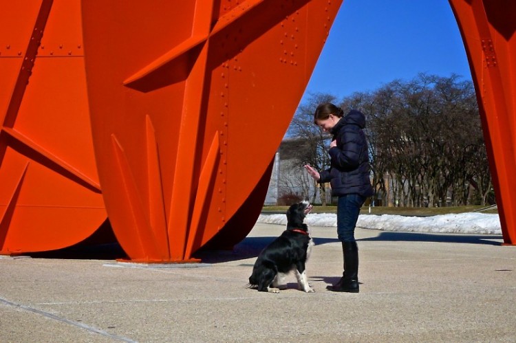 Gavin trains a dog in front of Alexander Calder's La Grande Vitesse statue,