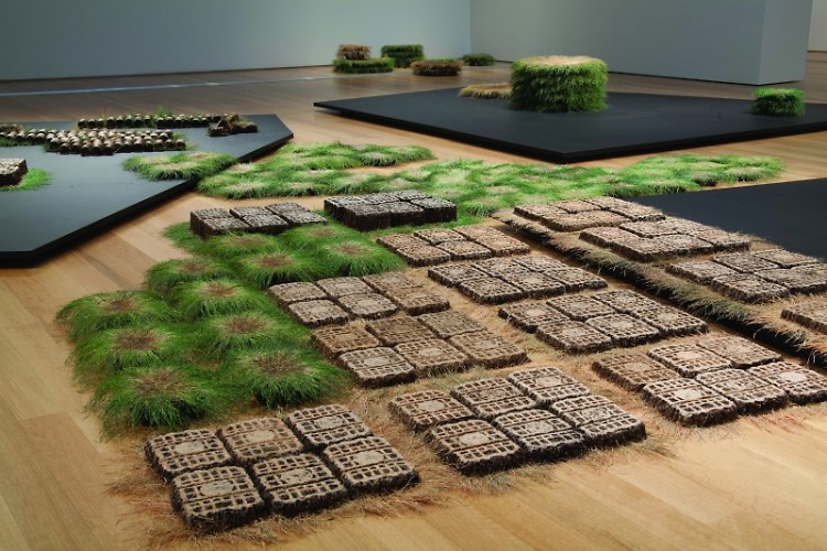 Campell arranged and rearranged each individual piece of sod as if creating a drawing on the floor.