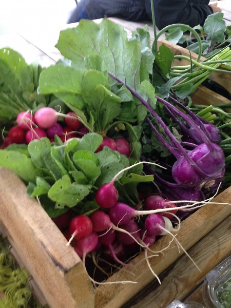 Radishes and Beets @ FSFM