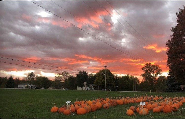 Sunset and pumpkins at Post Family Farm
