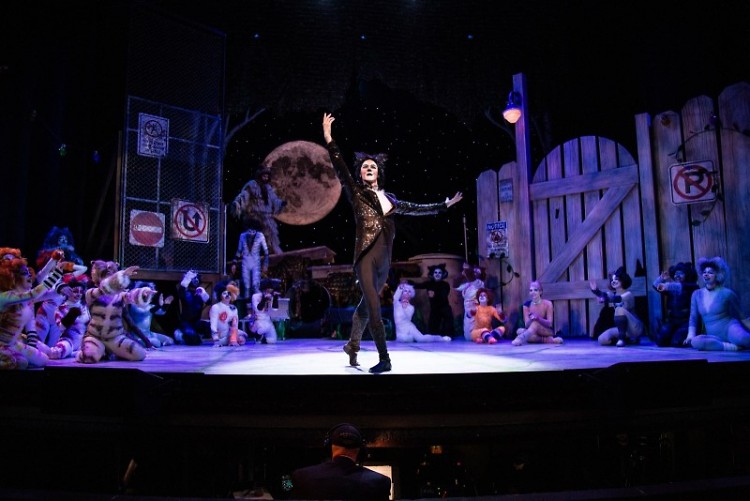 Mr. Mistoffelees on stage.