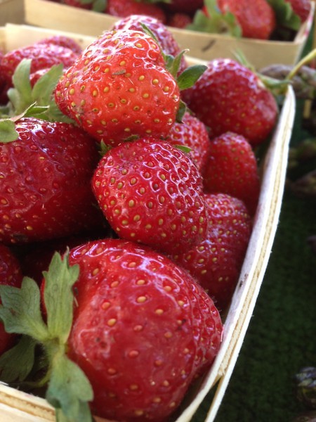 Michigan Grown Strawberries