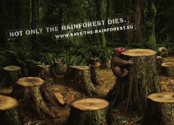 Not only the rainforest dies.