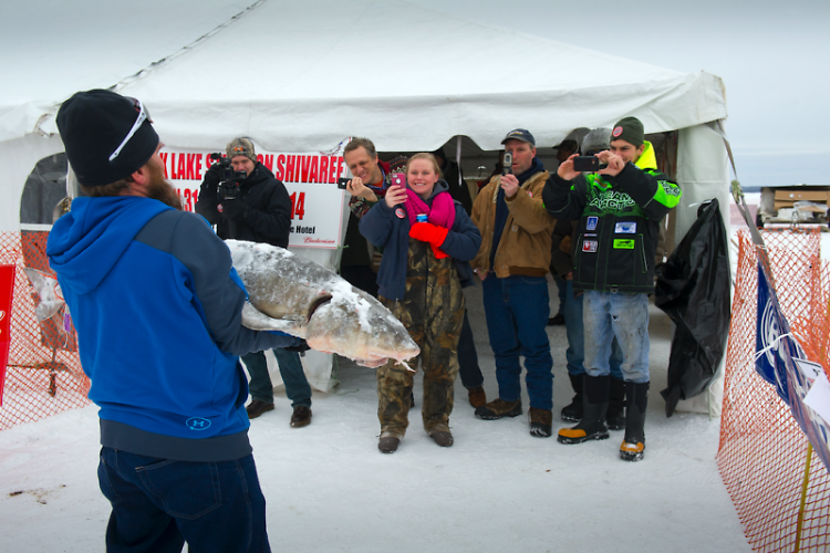 P.D. Lail, Jr. shows off his catch following the 2014 lake sturgeon season. 