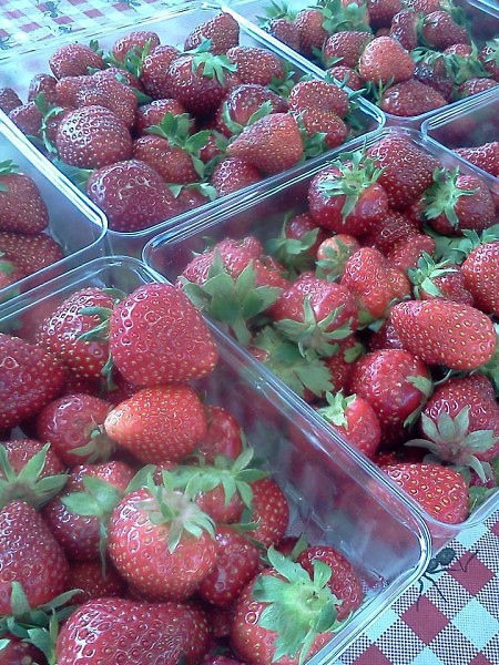 Strawberries at Fulton Street Farmers Market