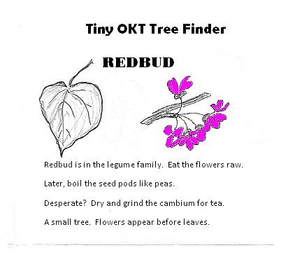 All participants receive a free copy of the Tiny OKT Tree Finder booklet!