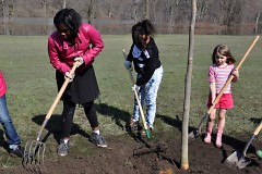 Community members worked together to plant trees.