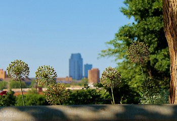 A view of downtown Grand Rapids from a distance