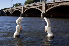 "Self-Portrait as Bunnies (The Bathers)" by Alex Podesta can be found in the Grand River