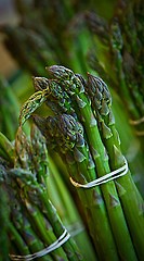 Asparagus is currently in season at the market.