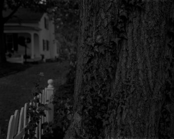 Dawoud Bey (American, b. 1953). Untitled #5 (Tree Trunk, Picket Fence and, House), from the series Night Coming Tenderly, Black,