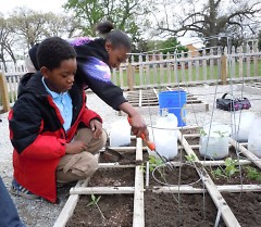 D’Mikol, left, and a classmate plant green beans at Congress Elementary School.