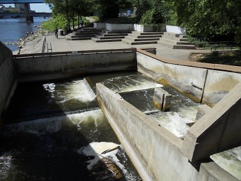 Because of the many dams on the Grand River, fish must rely on the fish ladder to swim upriver 