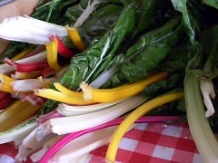 Rainbow chard brings new summertime color