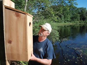 Michigan conservationists created artificial homes for ducks while wetland forests were growing back. 