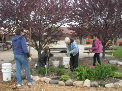 Volunteers cleaning up the memorial garden