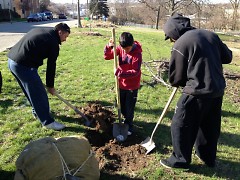 Tree planting day with Friends of Grand rapids Parks