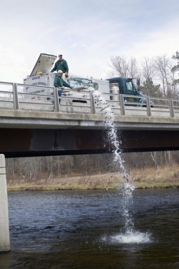 In 2018, the DNR stocked 22.2 million fish in waters across the state.