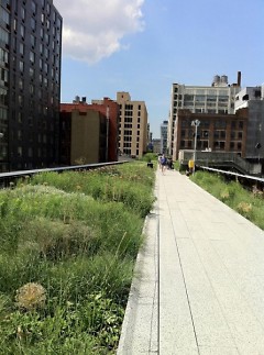 New York City's Hi-Line Park