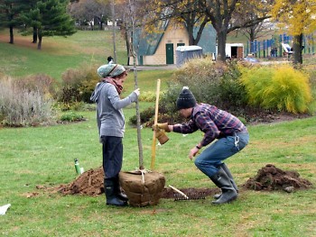 Volunteers plant trees at Highland Park near Coldbrook Creek, a tributary of the Grand River
