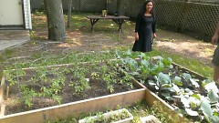 Ms. Mac, an employee of Well House and local musician, is pictured in one of the many urban gardens.