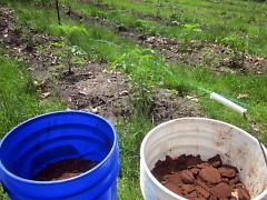 Compost made from Madcap's degradable products and coffee grounds is used on local farms.