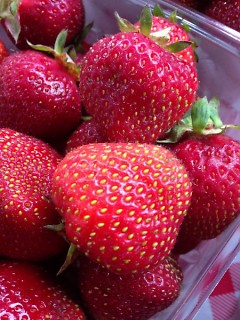 Michigan Fresh Strawberries @ FSFM
