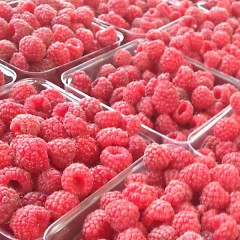 Michigan Raspberries