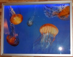 ArtPrize 2011 Entry "Jellyfish"