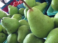 MI Pears