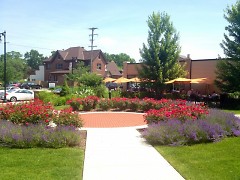 The ICCF's garden next to The Green Well's patio on Cherry St.