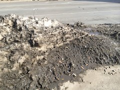 Debris uncovered in melting snow piles.