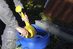 Rain barrels are an excellent way to repurpose rainwater in your home