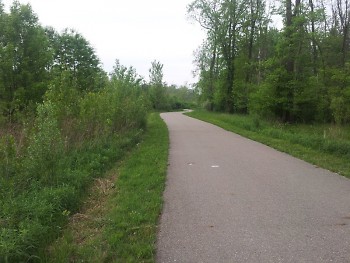One type of path on Millenium trail
