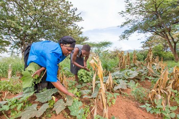 Farmers in Kenya