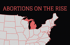 Michigan's rates of abortion are highest in the nation