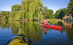 Kayakers paddle past Riverside Park, just miles from downtown Grand Rapids.