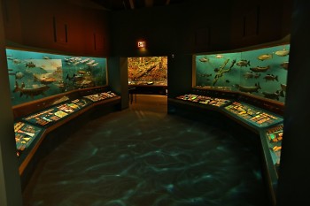 The Grand Rapids Public Museum's exhibition, West Michigan Habitats; reopening to the public on July 6.