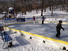 a temporary ice rink at Richmond Park adds layers of activity to a great winter park