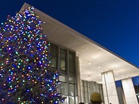 Grand Rapids Art Museum Christmas Tree
